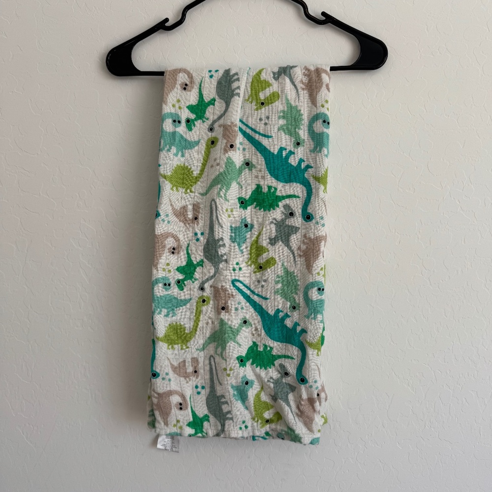 Tula Dinosaur Baby Blanket